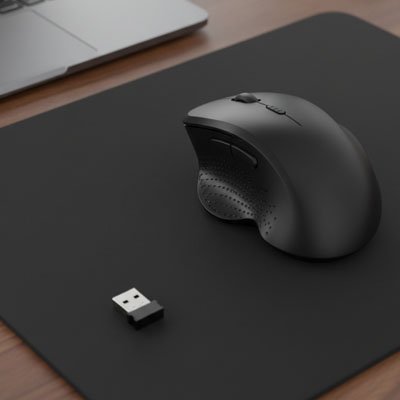 Souris ergonomique ZYNQO sobre